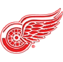 Detroit Red Wings Reverse Retro