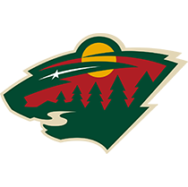 Minnesota Wild Reverse Retro