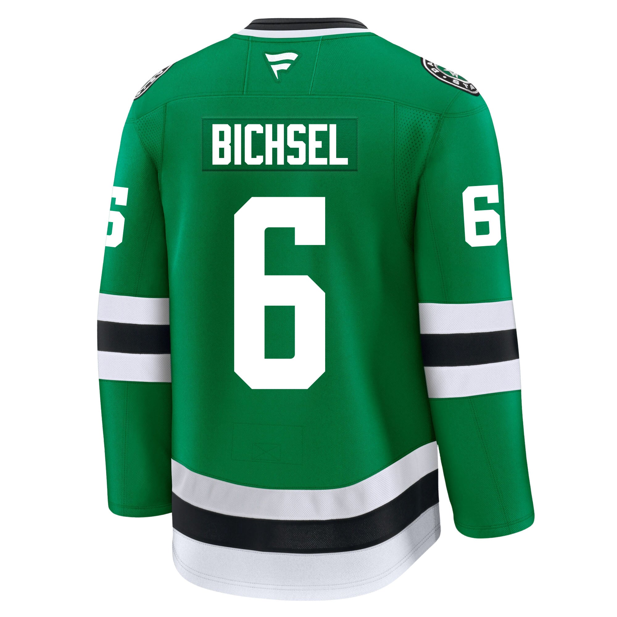 lian-bichsel-dallas-stars-